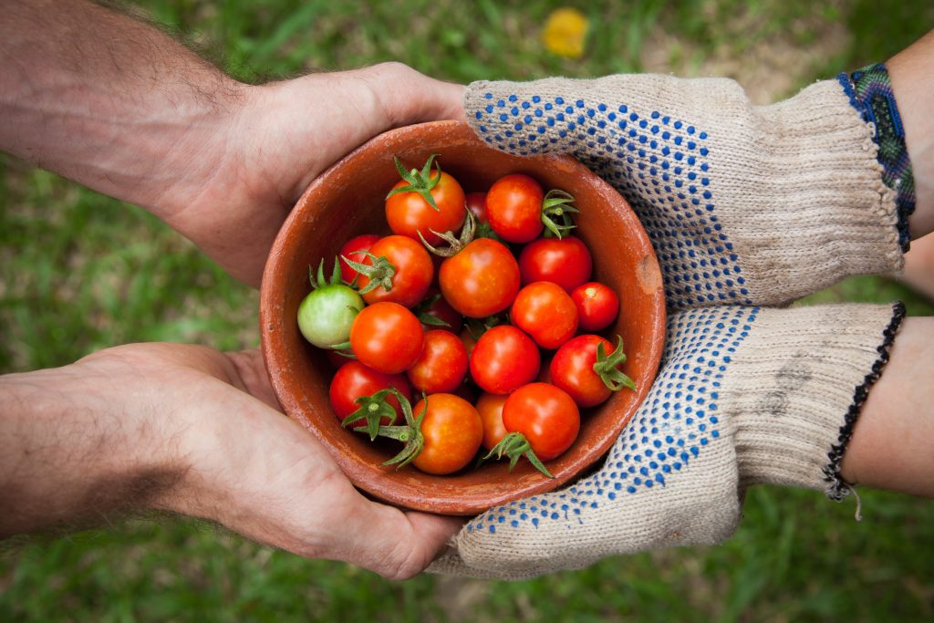 Mamas for Mamas created sustainable nourishment programs to provide fresh fruits and veggies to families in need